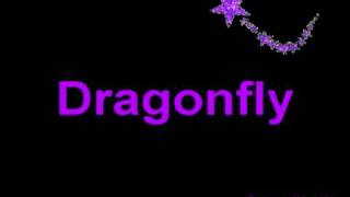 Dragonfly  Music with lyrics [upl. by Saibot]