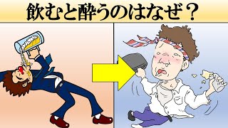 【科学】人はお酒を飲むとどうなる？【酔う仕組み】 [upl. by Amedeo556]