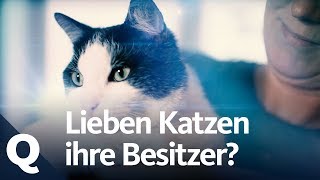 KatzenExperiment Lieben sie ihre Menschen  Quarks [upl. by Emie999]