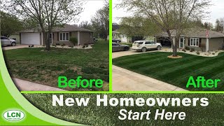 Howto Fix Your Ugly Lawn With This Single Lawn Application [upl. by Er]