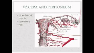 Anemia in Pregnancy clinical case presentation [upl. by Newra]