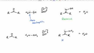 Wolff Kishner Reduction Hydrolysis Reactions and Reactions with Sulfur [upl. by Thorwald]