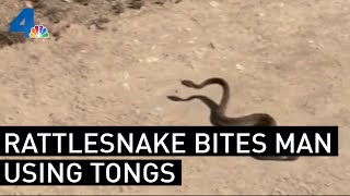 Rattlesnake Bites Man Who Picked It Up With Barbecue Tongs  NBCLA [upl. by Anelle]