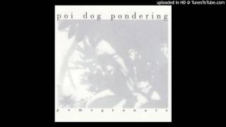 Poi Dog Pondering  Catacombs Album Version [upl. by Sheeb]