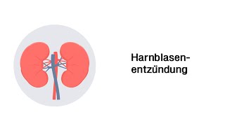 Harnblasenentzündung  Zystitis Erkrankungen der Harnwege [upl. by Wake]