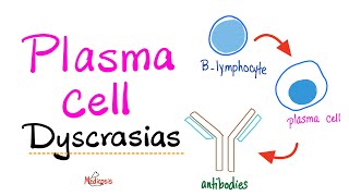 Multiple Myeloma Waldenström macroglobulinemia MGUS MGRS  Plasma Cell Dyscrasias  Introduction [upl. by Shirlie795]