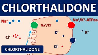 Chlorthalidone 25 mg tablet  Diuretic amp uses [upl. by Dodds682]