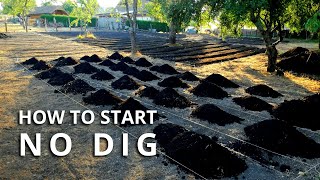 How to Make a No Dig Garden Bed [upl. by Vinnie]