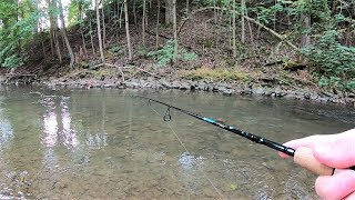 TROUT Fishing TIPS  Trout Fishing with Spinners in Creeks amp Streams [upl. by Buote]