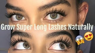 HOW TO GROW YOUR LASHES NATURALLY [upl. by Nosde285]