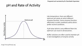 Chapter 32 Factors that Affect Enzyme Activity [upl. by Tabber]