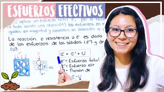 Clase ESFUERZOS EFECTIVOS  MECÁNICA DE SUELOS  Aprendeli [upl. by Hayikaz850]