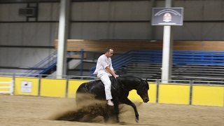 Amazing Reining freestyle [upl. by Hyams784]