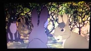 Watership down 1978 clip 6 bigwig meets general woundwort [upl. by Narad]