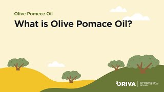 What is Olive Pomace Oil [upl. by Fawcette]