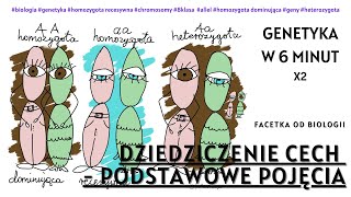 Genetyka  Pojecia  Allel  Homozygota  Genotyp  Fenotyp  Biologia 8 Klasa  Dziedziczenie [upl. by Anin]