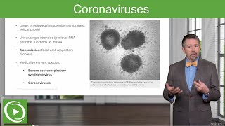 Severe Acute Respiratory Syndrome SARS and COVID19 – Coronaviruses  Lecturio [upl. by Hesta947]