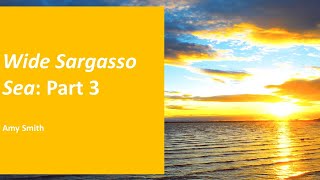 Wide Sargasso Sea Part 3 [upl. by Zaid574]