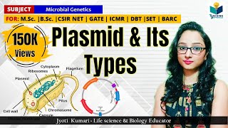 PLASMID  TYPE OF PLASMIDS  CSIR NET GATE  MSc  BSc Microbial genetics [upl. by Rangel]