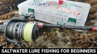 SALTWATER LURE FISHING FOR BEGINNERS  WHERE TO START SEA FISHING UK [upl. by Malca]