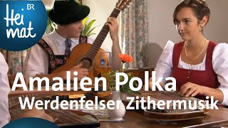 Werdenfelser Zithermusi Amalien Polka  Zsammgspuit  BR Heimat  die beste Volksmusik [upl. by Dorcia]