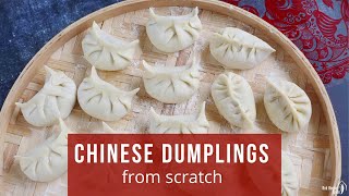 How to Make Chinese Dumplings From Scratch Jiaozi 饺子 [upl. by Nakah]