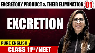 EXCRETORY PRODUCT amp THEIR ELIMINATION 01  Excretion  Zoology  Pure English  Class 11th  NEET [upl. by Ronyar721]