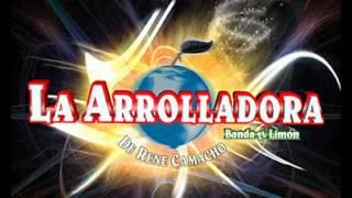 Disponible Para Mi  La Arrolladora Banda El Limón En Vivo Audio 2 HD [upl. by Rodney982]