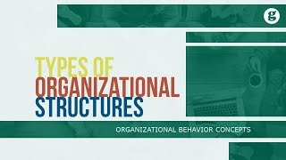 Types of Organizational Structures [upl. by Elaine]