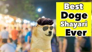 18 doge shayarithug life doge [upl. by Nylesoy642]