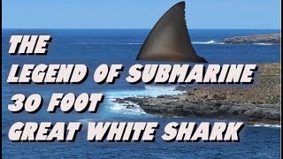 The Legend Of Submarine  30 Foot Great White Shark [upl. by Karli]