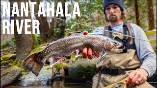 Fly Fishing NC’s BEST Trout Stream  The Nantahala River [upl. by Bilow]