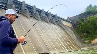 Fishing Below a Massive Dam For Anything That Will Bite [upl. by Oisinoid]