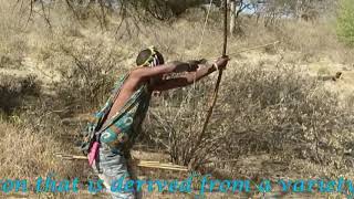 Hadzabe tribe the last hunters and gatherers of Tanzania  Edited by Carmine Salituro [upl. by Akenna]