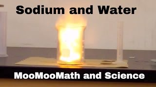 Sodium in water explosion Chemical Reaction [upl. by Atener]