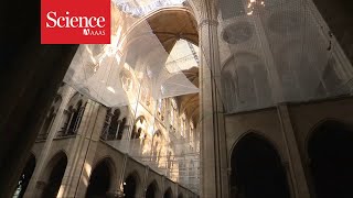 A look inside the restoration of Notre Dame cathedral [upl. by Odnalra788]