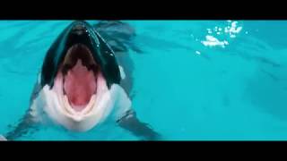 06 Audition Free Willy  1993 Soundtrack [upl. by Aniweta]