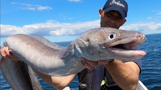 Deep Sea Fishing on Shipwrecks  Ling amp Conger Fishing  Sea Fishing UK  The Fish Locker [upl. by Drandell]