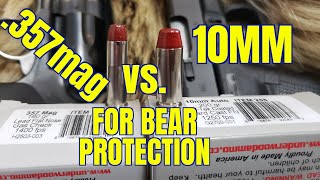 10mm vs 357 Magnum for Bear Protection in Alaska [upl. by Jayson]