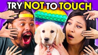 Try Not To Touch Challenge Puppies Cats PopIts  React [upl. by Clardy]