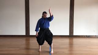 Solo Aikido Practice for Building Muscle Memory [upl. by Akineg]