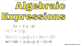 05  Evaluating Algebraic Expressions Part 1 [upl. by Pickar]