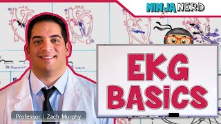 Cardiovascular  EKG Basics [upl. by Attenwad]