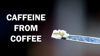 Extracting caffeine from coffee [upl. by Ellerred]