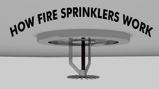 How fire sprinkler systems work 3D Animation [upl. by Aihsenad]