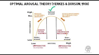 Optimal Arousal Theory by Yerkes and Dorson 1908 [upl. by Rheba]