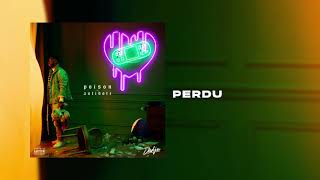 DADJU  Perdu Audio Officiel [upl. by Bogie]