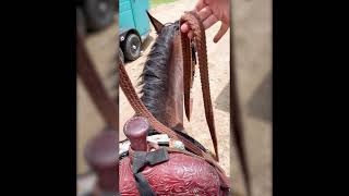 The Proper Way to Hold Split Reins [upl. by Birkett]