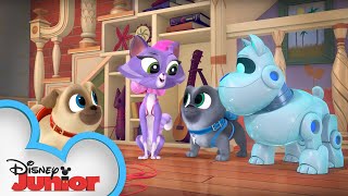 Forget Pups Not  Puppy Playcare  Puppy Dog Pals  Disney Junior [upl. by Wallach]