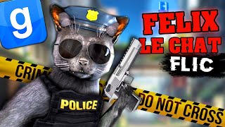 FELIX LE CHAT FLIC 2  GARRYS MOD DARKRP [upl. by Hu]